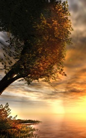 Pasted Graphic 1